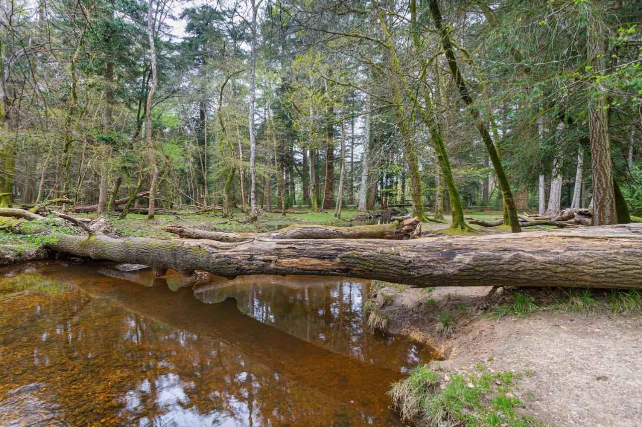 Forest Park Country Hotel & Inn, Brockenhurst, New Forest, Hampshire Dış mekan fotoğraf