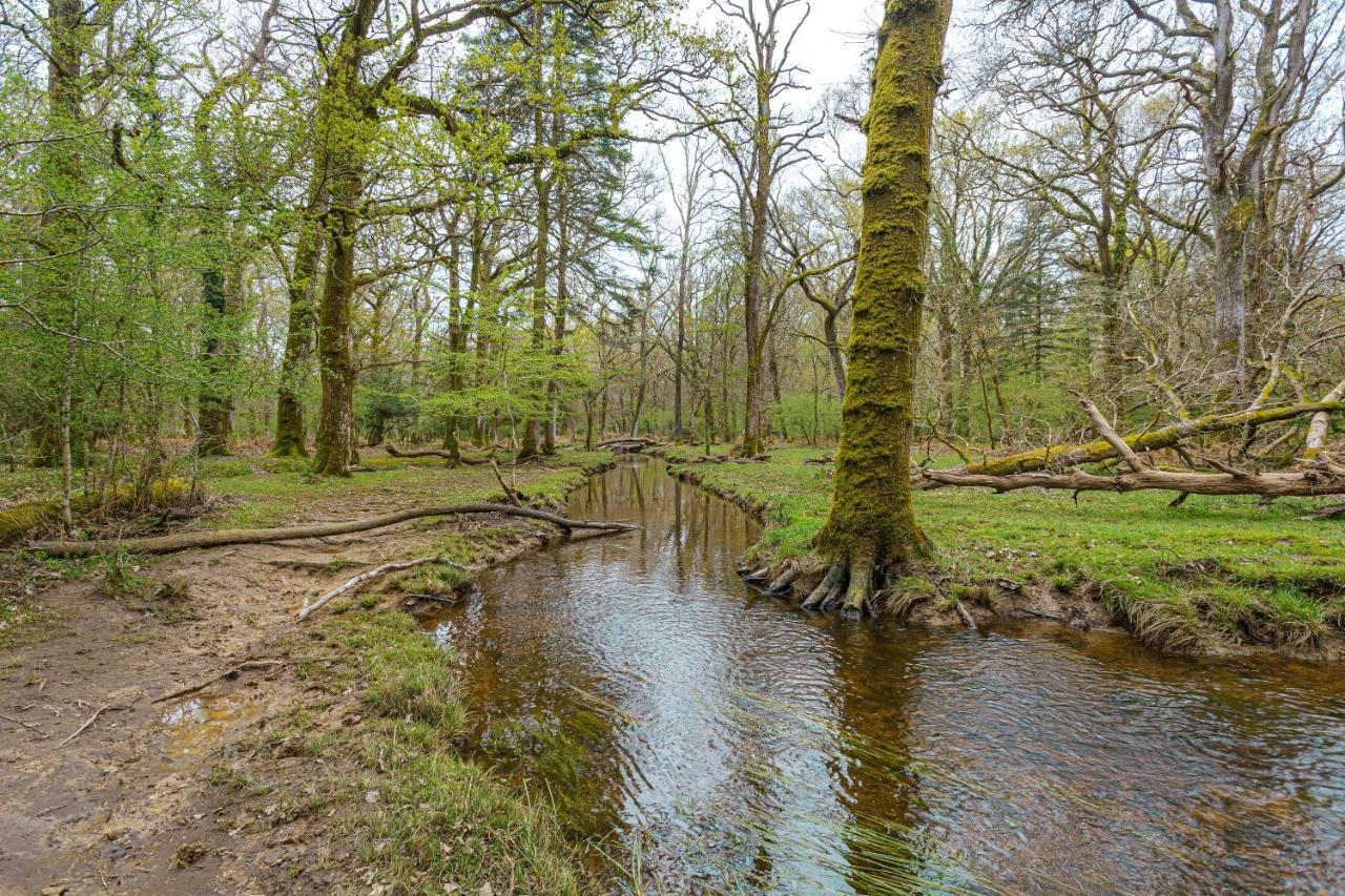Forest Park Country Hotel & Inn, Brockenhurst, New Forest, Hampshire Dış mekan fotoğraf